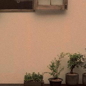 惊雷（翻自 皮卡丘多多）