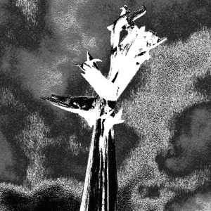 Demo 01 Untitled