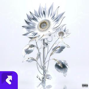 Where should i go now 3M