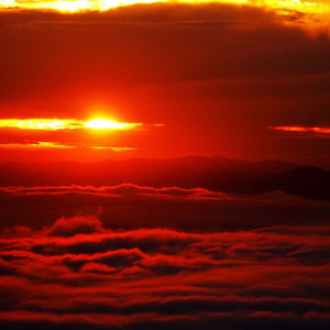 Tänään Voi Olla Se Päivä M.Ikonico(tuot.Tolu - J)