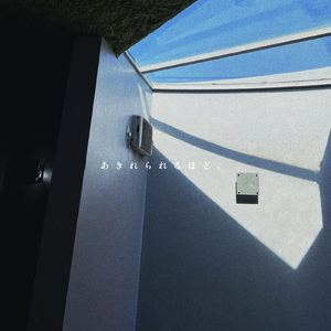 あきれられるほど。