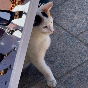 Marrakesh