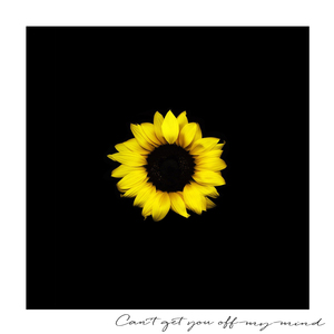 Can't Get You Off My Mind