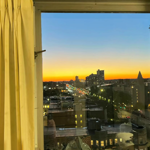 在小小的花园里面挖呀挖呀挖 完整版【抖音热播】