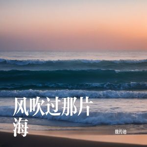 风吹过那片海