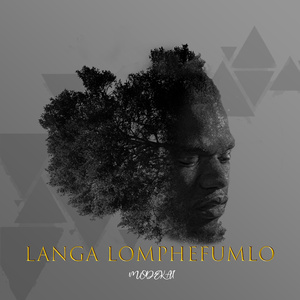 Langa lomphefumlo