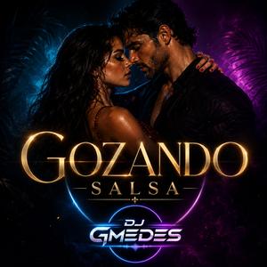 GOZANDO SALSA