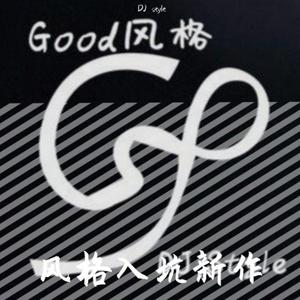 Alan Walker-darkside（STYLZ Remix Pt.2）（STYLZ remix）