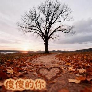 傻傻的你