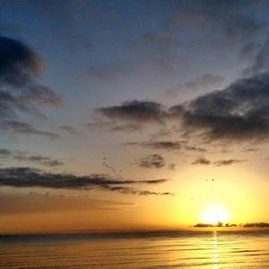 这个夜晚我仍然在思念着你