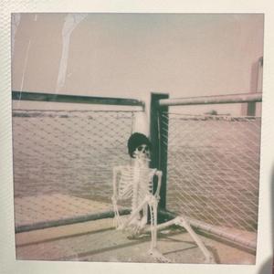 Bones
