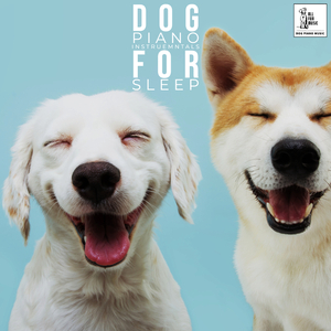 Cat Fall Asleep Piano