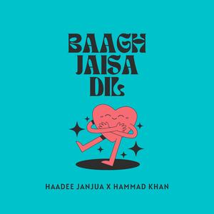 BAAGH JAISA DIL (feat. Hammad Khan)