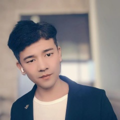 孤独的鸿雁