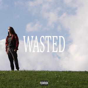 wasted (feat. nicomply)