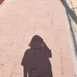 刻在我心底的名字