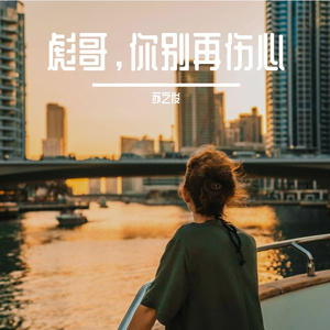 彪哥，你别再伤心