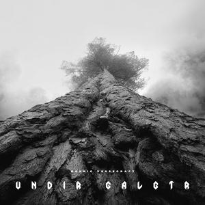 Undir Galgtré (Under the Gallows Tree)