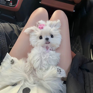 混搭黑夜 (林清樱 remix)