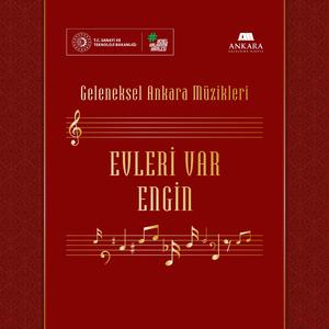 Evleri Var Engin