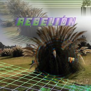 Rebelión