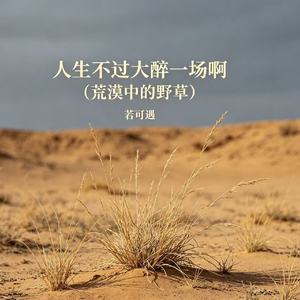 人生不过大醉一场啊（荒漠中的野草）