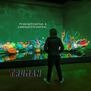 Prokrastination