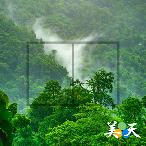 シャングリラ PART 2