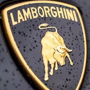 Kamelia-Amör（TJ-KING remix）