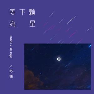 等下颗流星（网剧《别跟姐姐撒野》插曲）