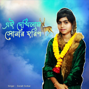 Ai Dekhilam Sonar Horin