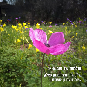 עולמות של טוב