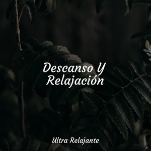 Abrazo Que Produce Calidez