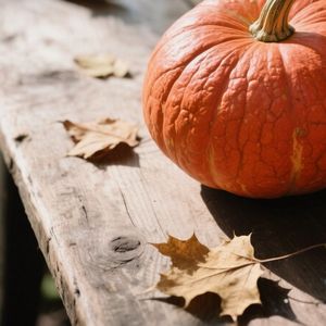 Cucurbita