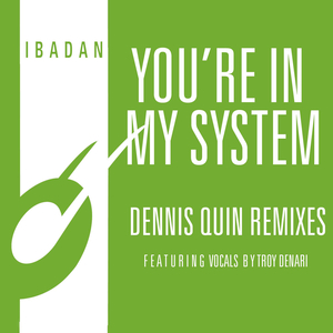 You're in My System (Dennis Quin Vocal Mix)