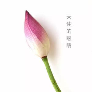 天使的眼睛-致白衣天使