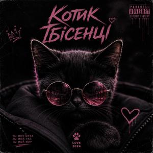 Котик Ібісенці