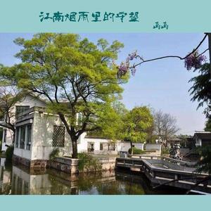 江南烟雨里的守望