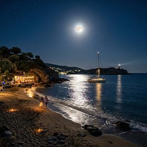 Moonlit Shore