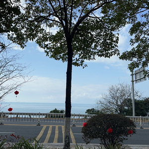 无名的人 毛不易.wav