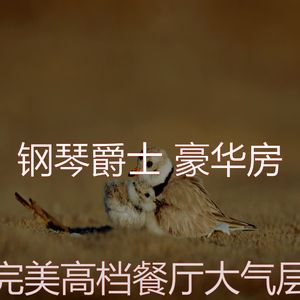 有趣约会之夜情怀