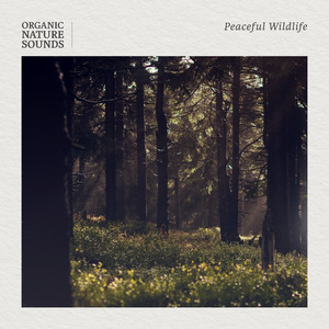 Birds And Insects In Tall Harvest Grass (Instrumental Version)