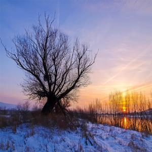 风听见，雨知道（按摩助眠的音乐）