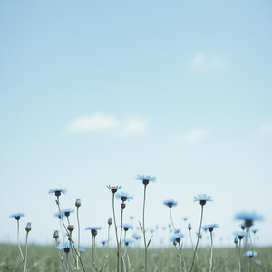 Şarkılar Sokaklara Ait