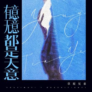 有意无意都是天意（DJ版）