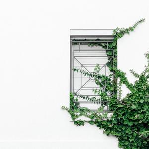 与你有关（《时光代理人》插曲 | cover.泠鸢yousa)