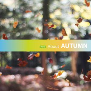 남겨진 가을 구름