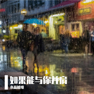 如果能与你并肩