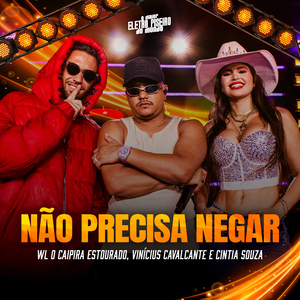Não Precisa Negar (Eletropiseiro)