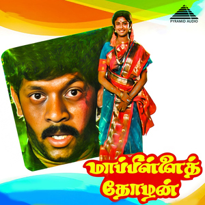 Palirukudhu Pazhamirukudhu